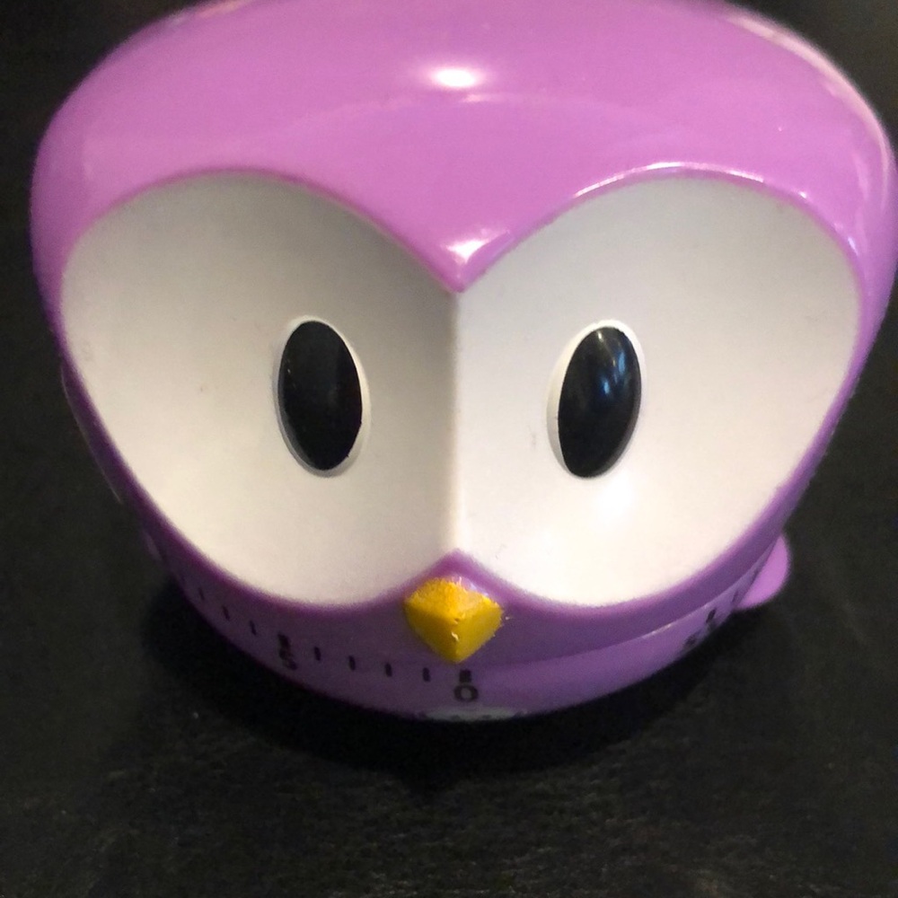 🦉 Timer - Picture 1 of 6